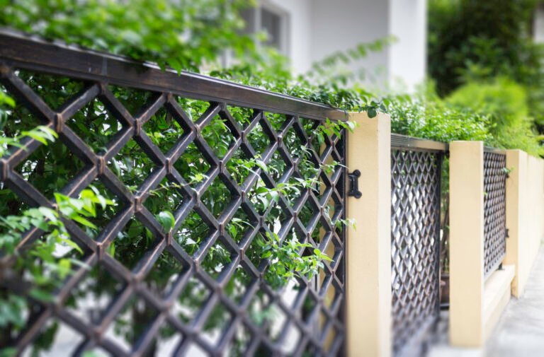 Green leaves plant decorated in the fence, stock photo